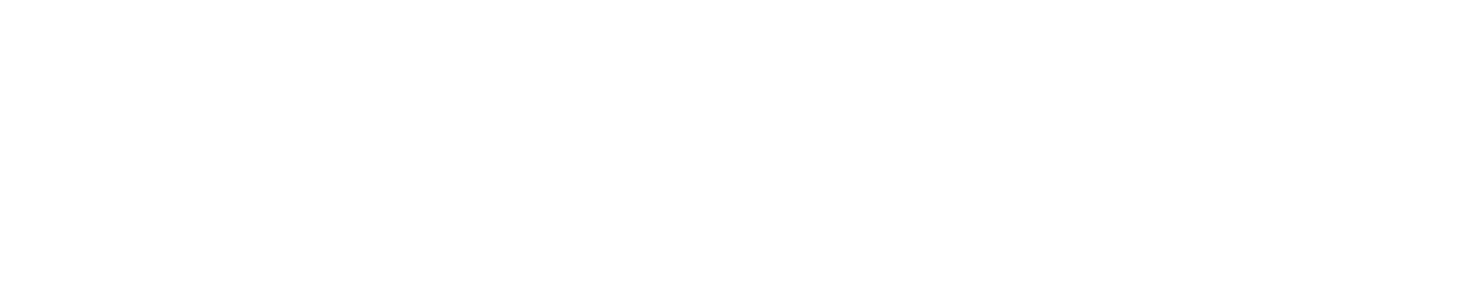 Logo aceleradores evolucional